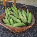 2011-08-06-19-38-03