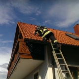 IMAG0964