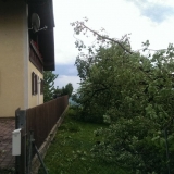 IMAG0978