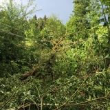 IMG-20150520-WA0038