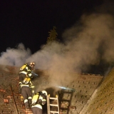 Brand (20)