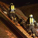 Brand (36)