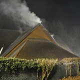 Brand (51)