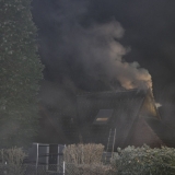 Brand (53)