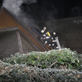 Brand (54)