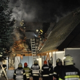 Brand (55)