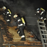 Brand (58)