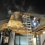 Brand (59)
