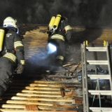 Brand (62)