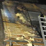 Brand (65)
