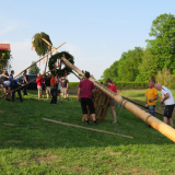 2018 Maibaum (27)