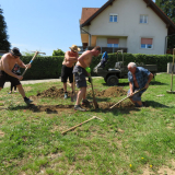 2018 Maibaum (4)