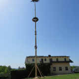 2018 Maibaum (49)