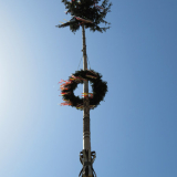 2018 Maibaum (51)