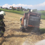 Brand (11)