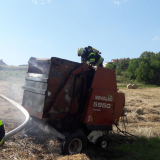 Brand (13)