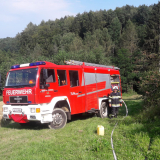 Brand (7)
