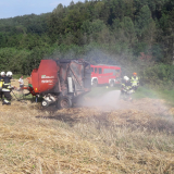 Brand (8)